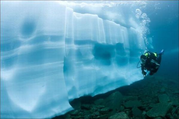 Уникальные подводные фотографии ледников