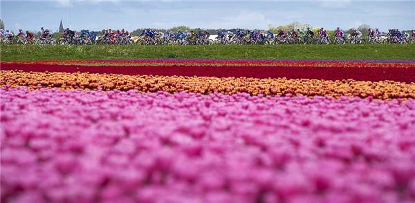 Иван Бассо победил в велогонке Giro d’Italia 2010