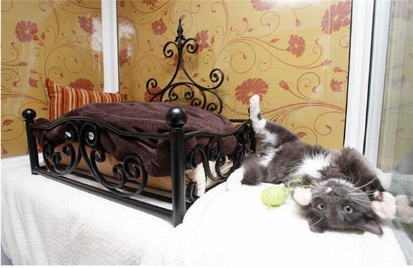 Люкс-гостиница для котов