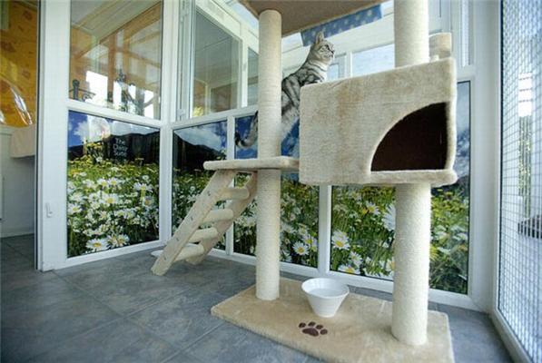 Люкс-готель для котів