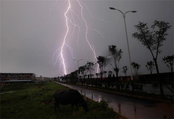 Природні катаклізми. Моторошні ФОТО з усього світу