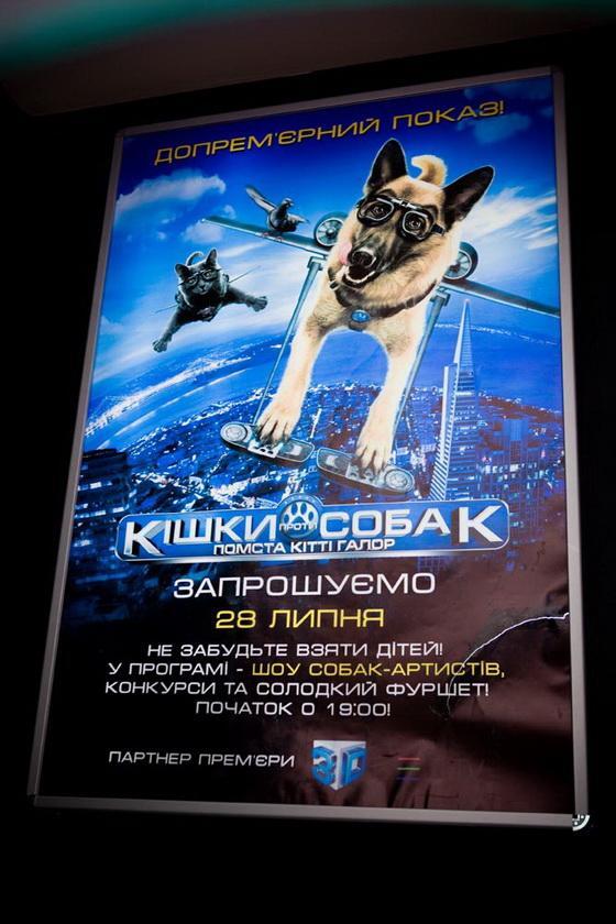 В Киеве прошла презентация «Кошек против собак»