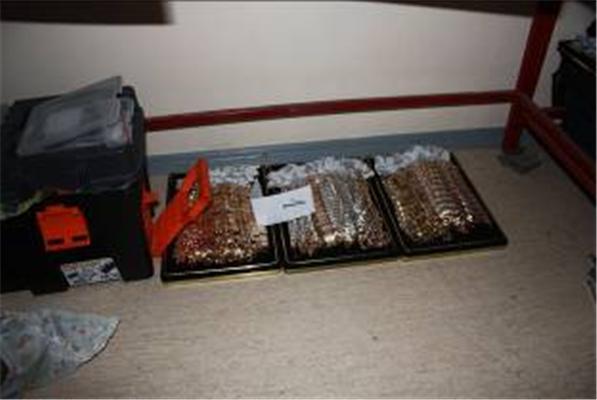 Тіньові ювеліри декларують лише 1% виробництва