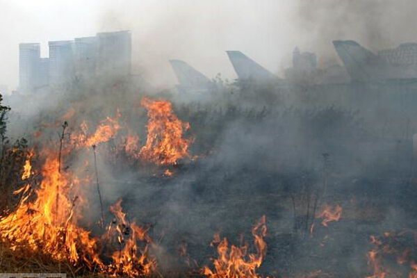 МЧС: в России горят 190 тысяч гектаров. ФОТО