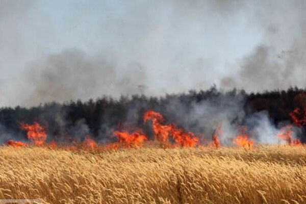 МЧС: в России горят 190 тысяч гектаров. ФОТО