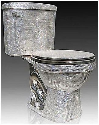 Самые необычные унитазы мира