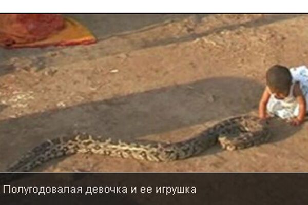 Индийский младенец приручил питона! ФОТО