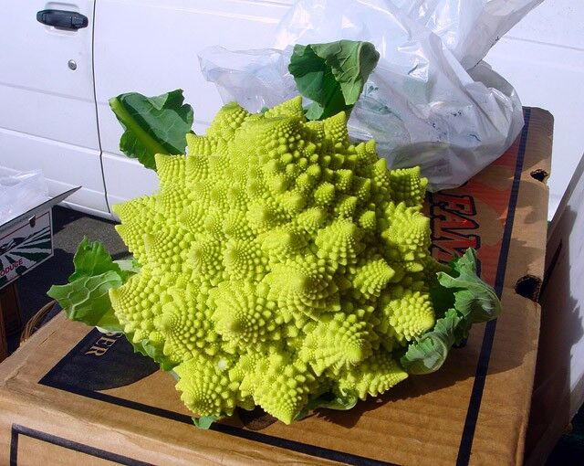 10 найбільш незвичайних гібридів і сортів овочів і фруктів