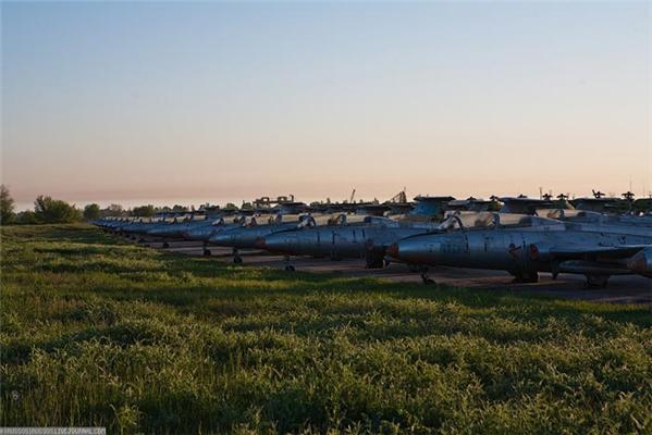 В Крыму найдены тысячи хищных птиц, не умеющих летать. ФОТО