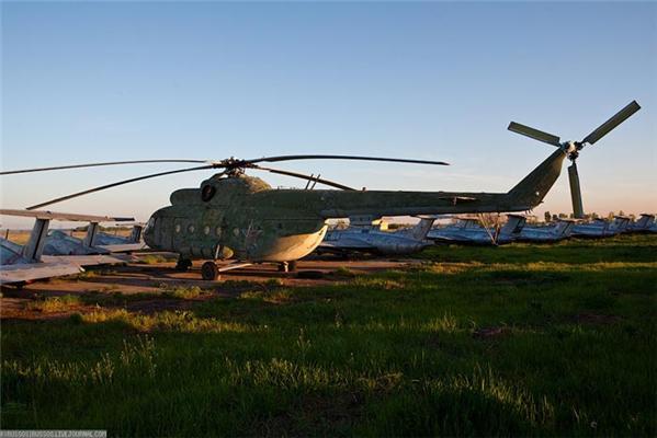 В Крыму найдены тысячи хищных птиц, не умеющих летать. ФОТО