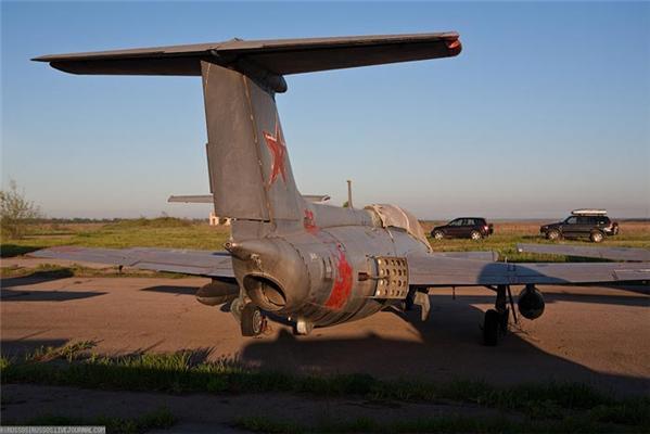 У Криму знайдено тисячі хижих птахів, які не вміють літати. ФОТО