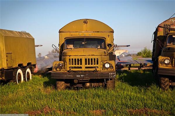 У Криму знайдено тисячі хижих птахів, які не вміють літати. ФОТО