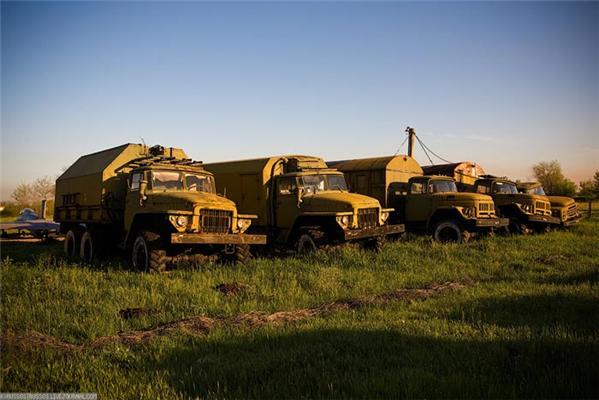 У Криму знайдено тисячі хижих птахів, які не вміють літати. ФОТО