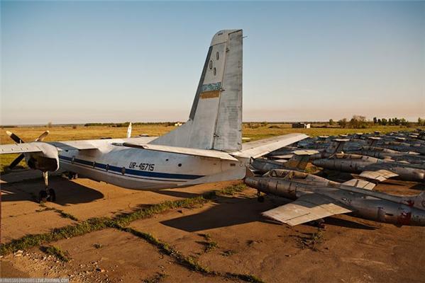 У Криму знайдено тисячі хижих птахів, які не вміють літати. ФОТО