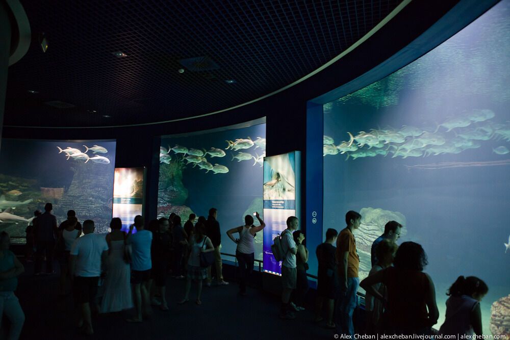 Океанографічний парк у Валенсії