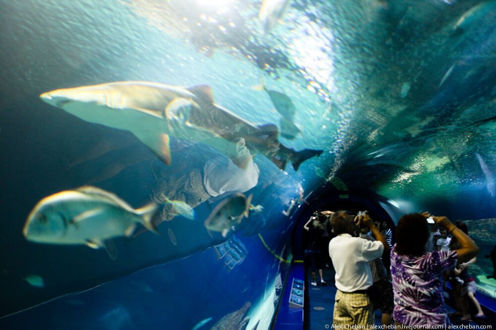 Океанографічний парк у Валенсії