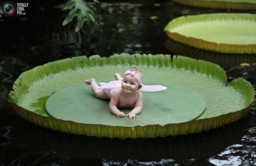 Перенаселена планета людей