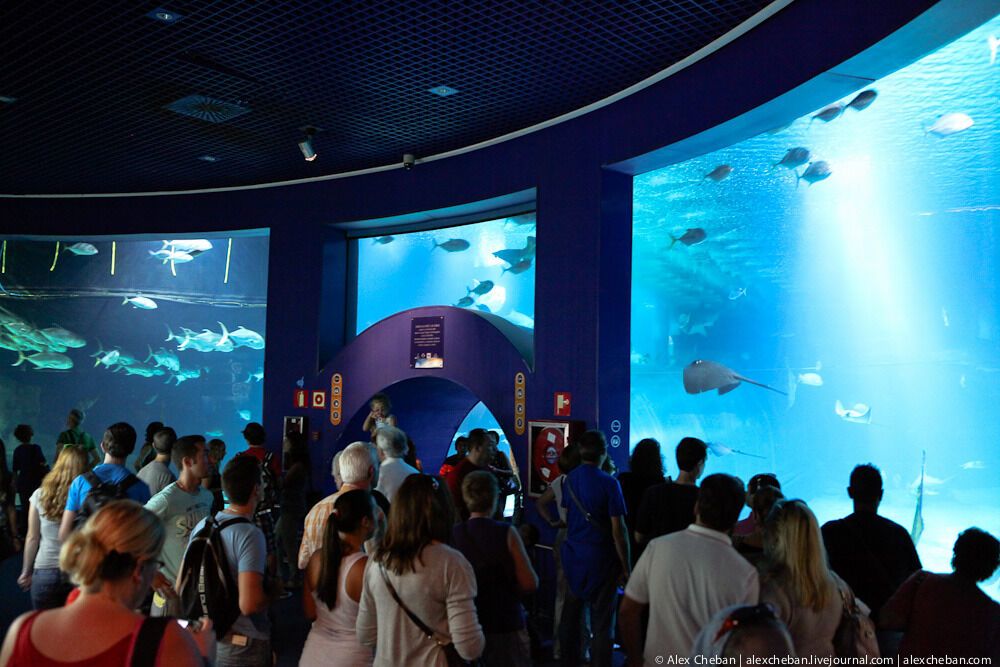 Океанографічний парк у Валенсії