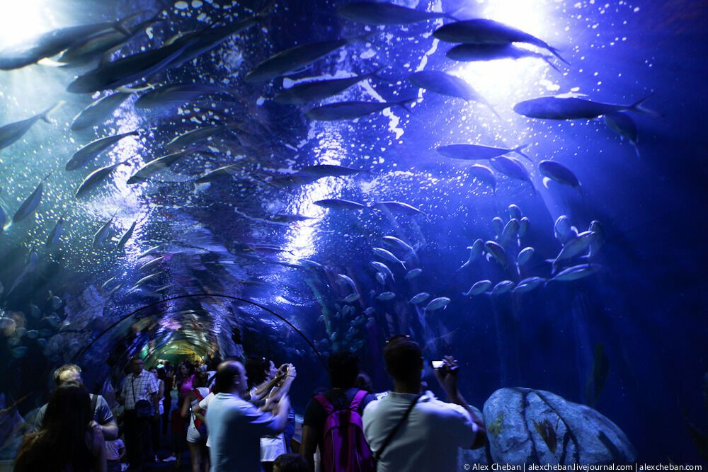 Океанографічний парк у Валенсії