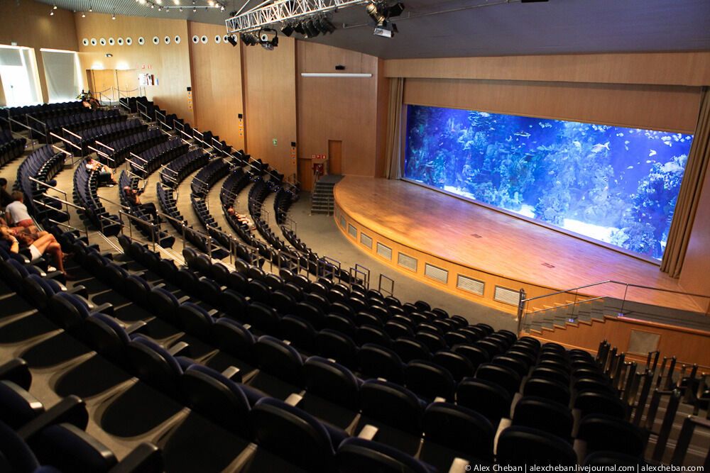 Океанографічний парк у Валенсії