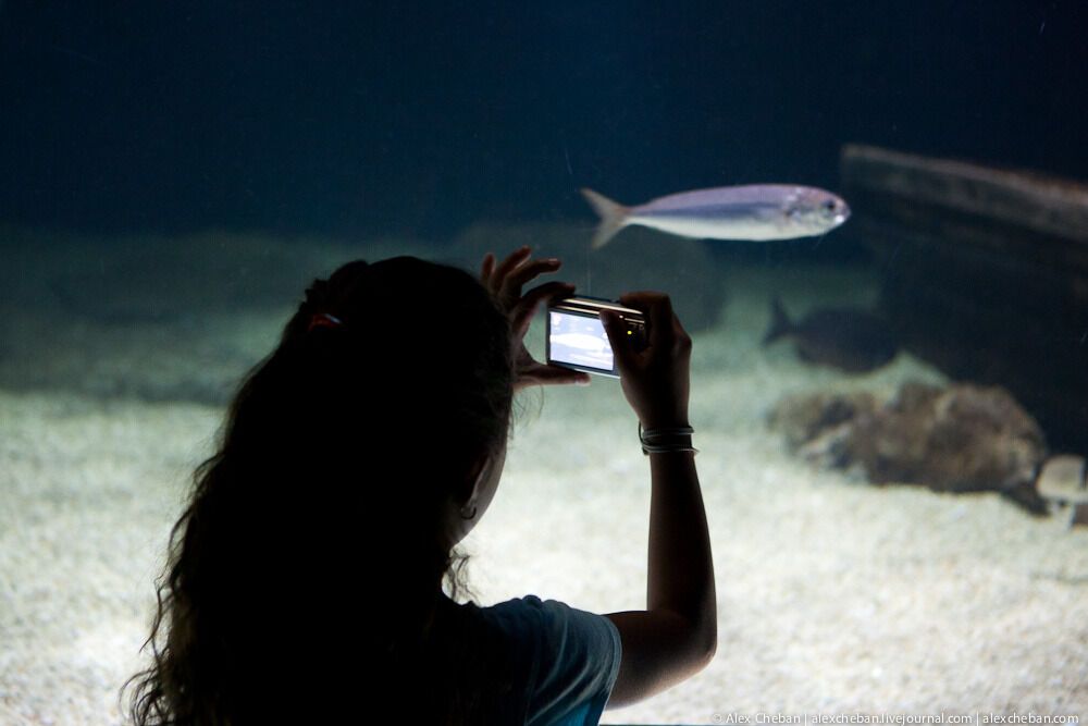 Океанографічний парк у Валенсії