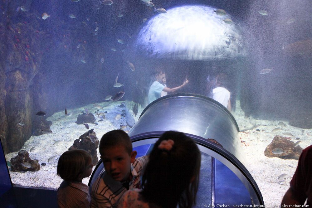 Океанографічний парк у Валенсії