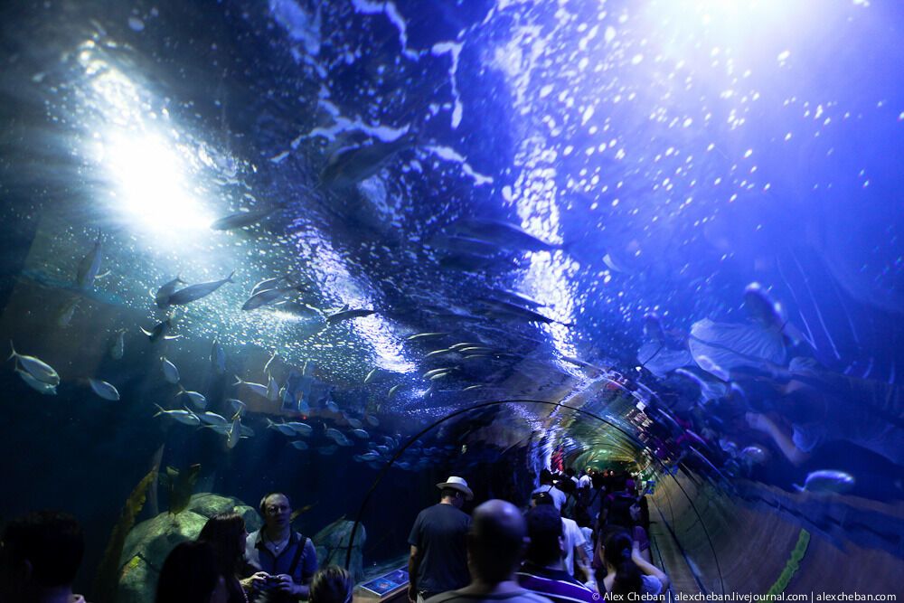 Океанографічний парк у Валенсії