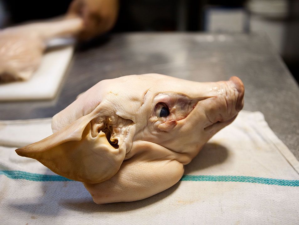 Світ очима шеф-кухарів