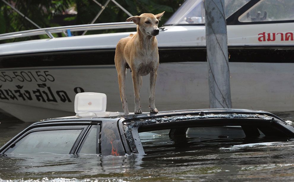 Найсильніша повінь в Таїланді