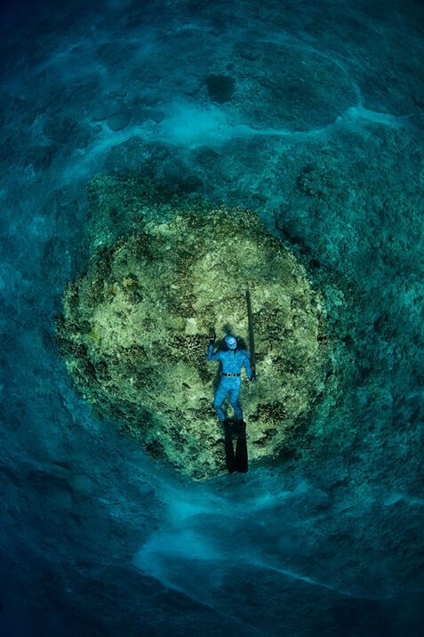 Підводне полювання