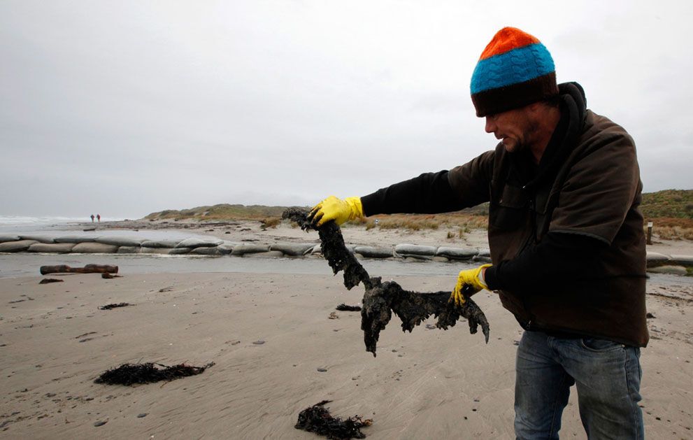 Розлив нафти біля берегів Нової Зеландії