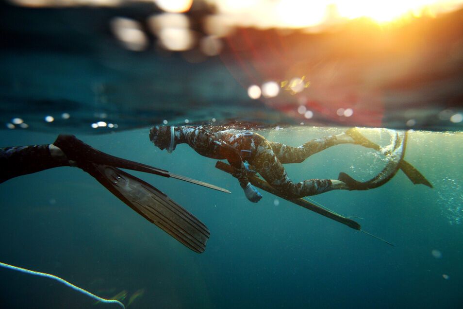 Підводне полювання