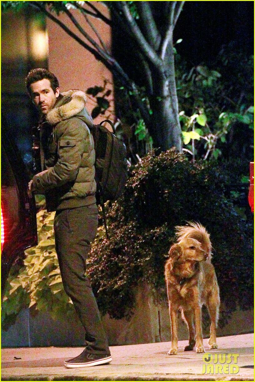 Лайвли покинула дом Рейнольдса с рассветом