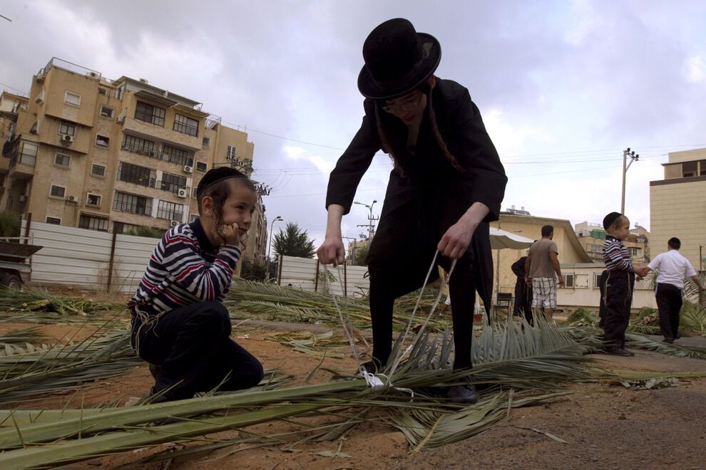 Праздник кущей или Суккот