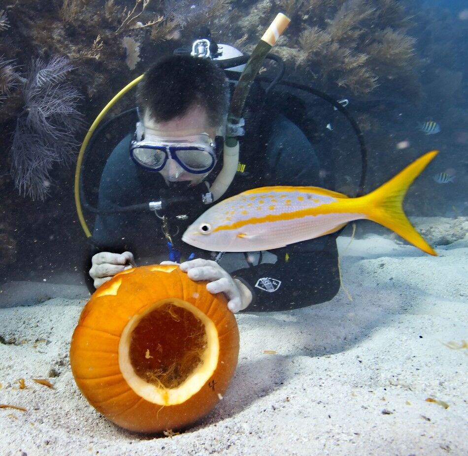 Хэллоуин все ближе – пора вырезать тыкву