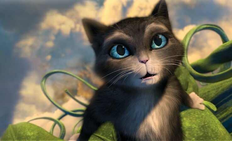 «Мистер и миссис Смит» по-кошачьи