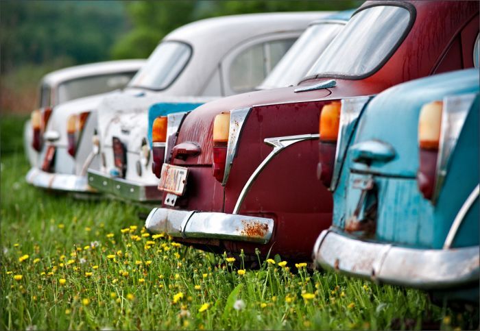 Автомузей гибнет под открытым небом. Фото 