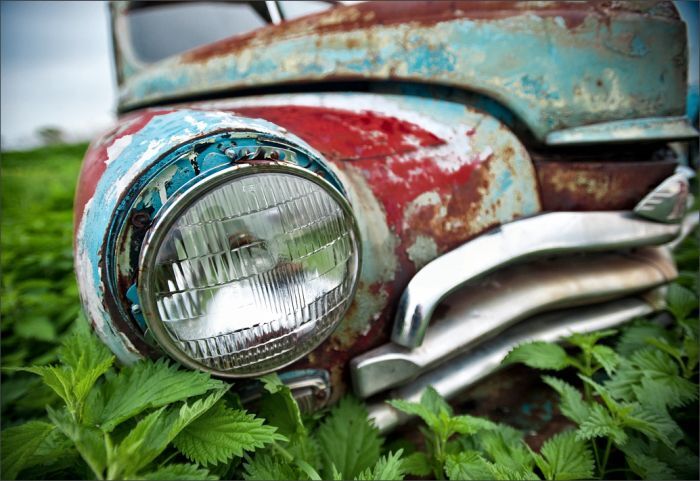 Автомузей гибнет под открытым небом. Фото 