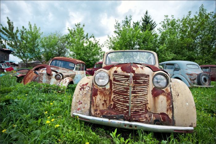 Автомузей гибнет под открытым небом. Фото 