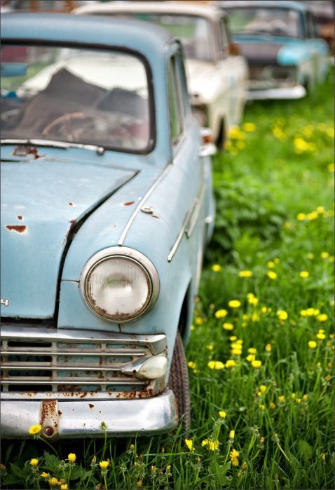 Автомузей гибнет под открытым небом. Фото 