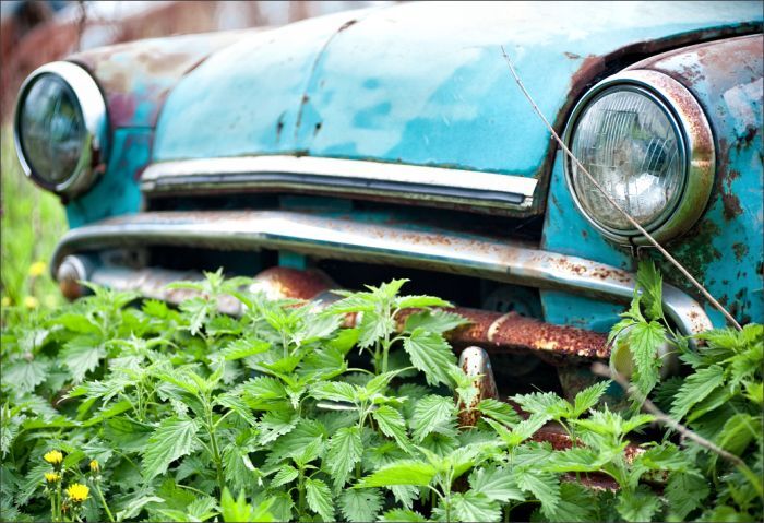 Автомузей гибнет под открытым небом. Фото 