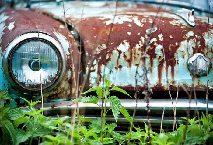 Автомузей гибнет под открытым небом. Фото 