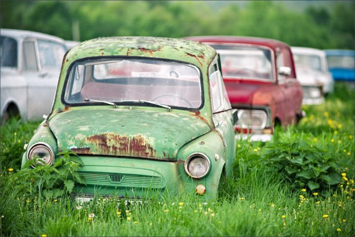 Автомузей гибнет под открытым небом. Фото 