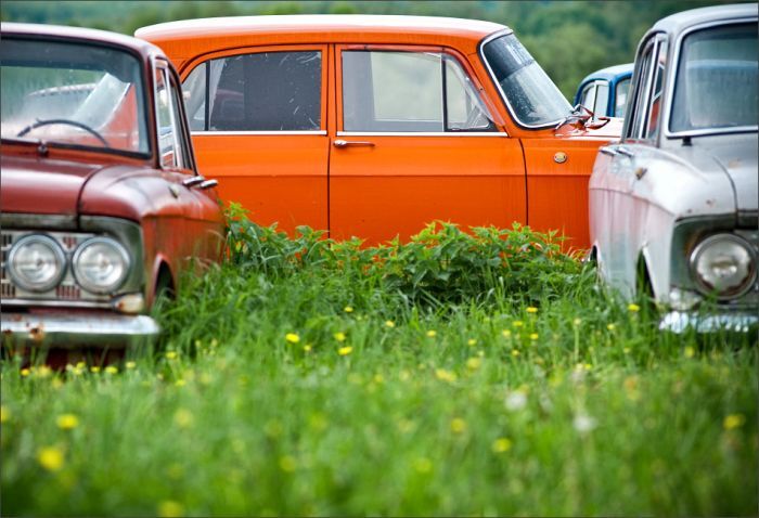 Автомузей гибнет под открытым небом. Фото 