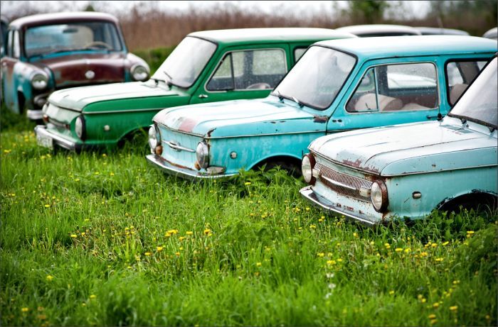 Автомузей гибнет под открытым небом. Фото 