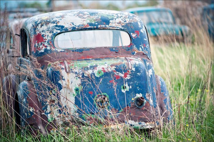 Автомузей гибнет под открытым небом. Фото 