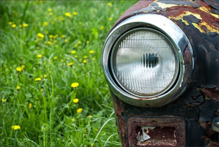 Автомузей гибнет под открытым небом. Фото 