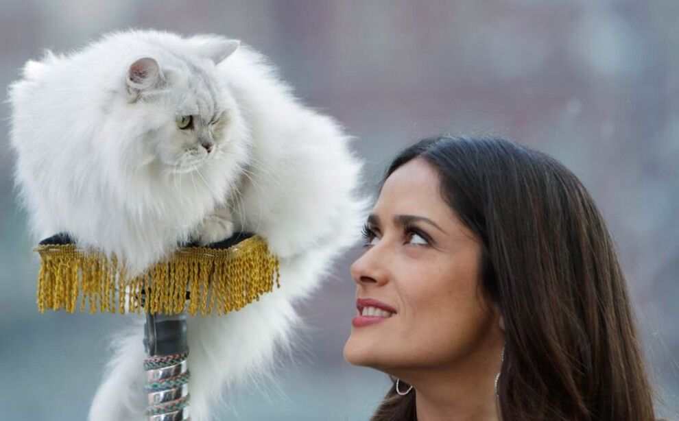 Зоряна добірка тижня - 03.10.2011