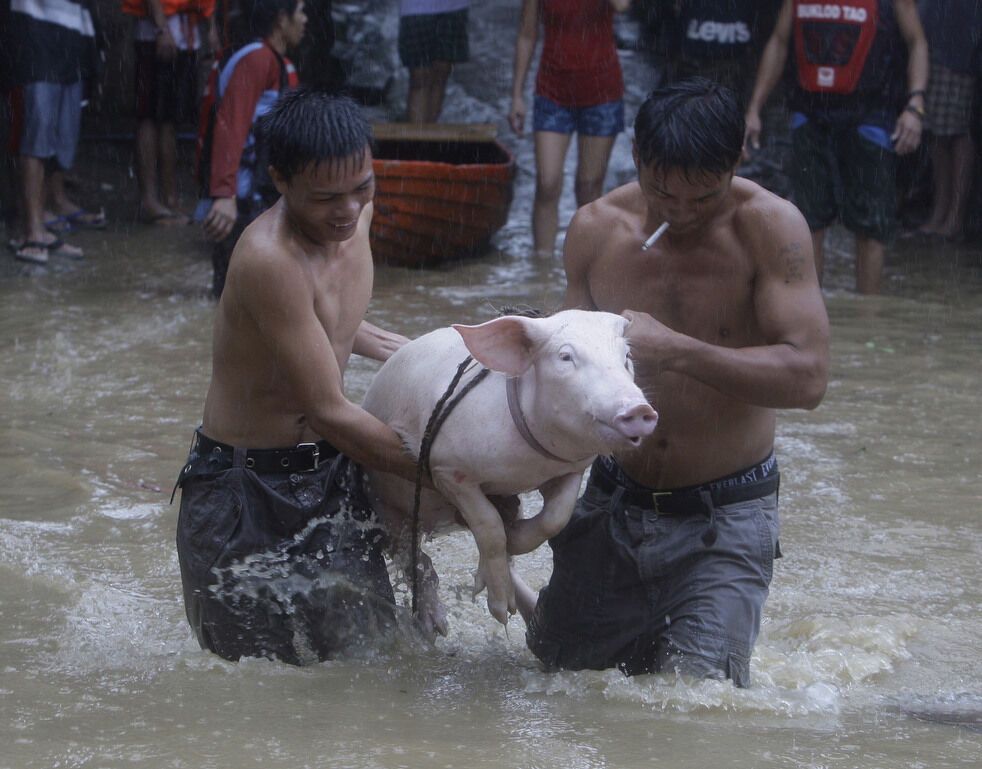 Тайфун «Несат» на Филиппинах
