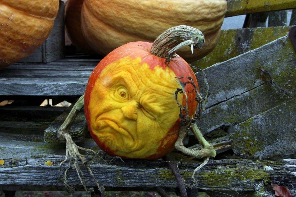 Тыквенные монстры Хэллоувина